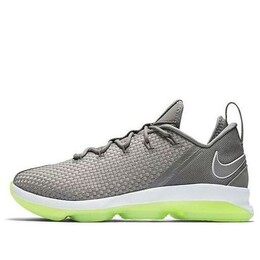 Кроссовки lebron 14 низкие Nike, серый 878636-005 | grey/silver/ green