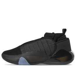 Кроссовки Harden Vol. 7 Adidas, черный hp3021 | core black/core black/off white