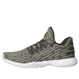 Кроссовки harden vol. 1 ls primeknit Adidas, зеленый ah2113 | green/white
