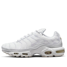 Кроссовки air max plus tn Nike, белый aj2029-100 | white