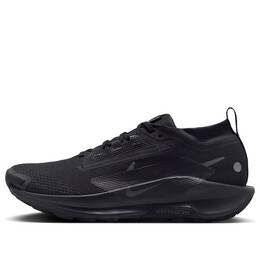 Кроссовки pegasus trail 5 gore tex Nike, черный fq0908-002 | black/anthracite/black