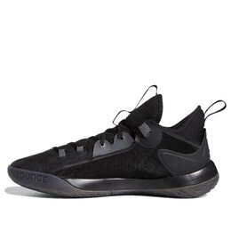 Кроссовки harden stepback 2 Adidas, черный fz1075 | black