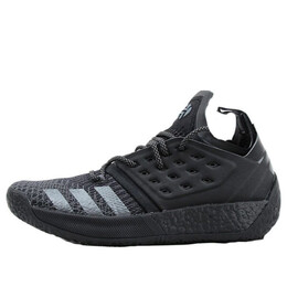 Кроссовки Harden Vol. 2 Adidas, черный f34361 | black