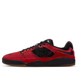 Кроссовки ishod wair sb Nike, красный dc7232-600 | red/black