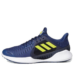 Кроссовки climacool vent Adidas, черный eg1116 | black/blue/yellow
