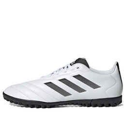 Кроссовки goletto viii tf Adidas, белый gy5774 | white/black