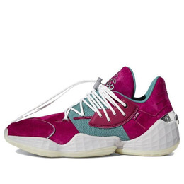 Кроссовки daniel patrick x harden vol. 4 Adidas, фиолетовый fy2791 | purple/green