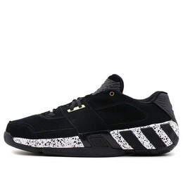 Кроссовки регулируют Adidas, черный cg5278 | black/white
