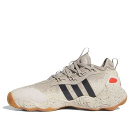 Кроссовки trae young 3 Adidas, бежевый if5602 | wonder beige/grey five/wonder white