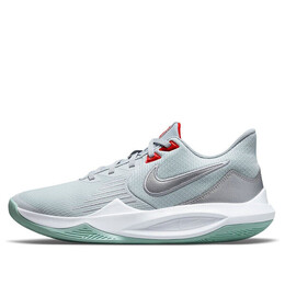 Кроссовки точность 5 Nike, серый cw3403-002 | grey/green