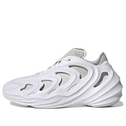 Кроссовки adifom q Adidas, белый ie7447 | white