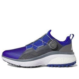 Кроссовки солнечные движение боа Adidas, синий gv9390 | blue/grey/white