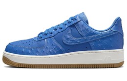 Мужские кроссовки для скейтбординга Nike Air Force 1, Blue/White dz2708-400 | blue/white
