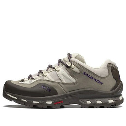 Кроссовки Salomon XT-Quest 2 Advanced, коричневый 417524 | brown
