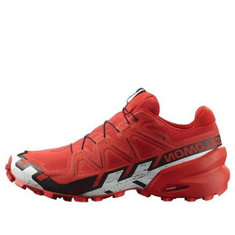 Кроссовки Salomon Speedcross 6 Gore-Tex 'Red', красный 417390 | red