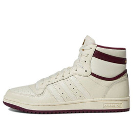 Кроссовки originals top ten rb sneakers ivory Adidas, белый gz8848 | white