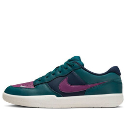 Кроссовки force 58 sb premium 'obsidian turquoise viotech' Nike, зеленый dh7505-401 | green