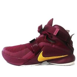 Кроссовки lebron soldier 9 prm ep 'maroon red white' Nike, мультиколор 749491-670 | deep garnet/mtllc gold