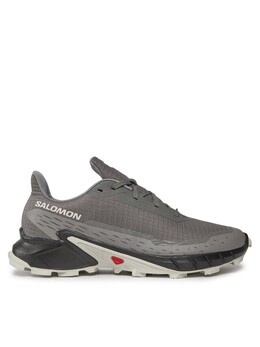 Кроссовки Salomon, серый alphacross 5 473133 29 w0 | szürke