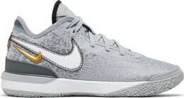 Nike Кроссовки Zoom LeBron NXXT Gen 'Wolf Grey', серый dr8784 004 | grey