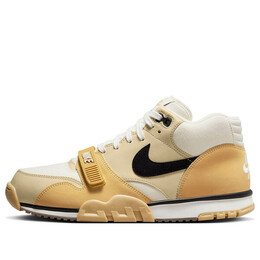 Кроссовки air trainer 1 'coconut milk' Nike, мультиколор dv7201-100 | coconut milk/black-team gold-sail-wheat gold-gum dk brown
