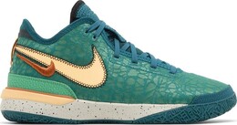 Nike Кроссовки Zoom LeBron NXXT Gen 'Geode Teal', бирюзовый dr8784 301 | teal