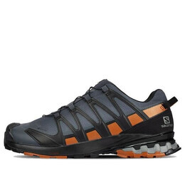 Кроссовки xa pro 3d v8 gtx wide 'grey brown' 410428 Salomon, серый 410428 / l41042800 | grey/brown