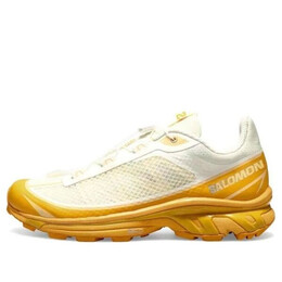 Кроссовки xt-6 ft 'vanilla buckskin' 471514 Salomon, белый 471514 / l47151400 | white/yellow