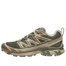 Кроссовки xt-6 expanse 'deep lichen green cement' 475983 Salomon, зеленый 475983 / l47598300 | deep lichen green/cement/portabella