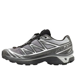 Кроссовки x atmos xt-6 gore-tex 'concrete jungle' 478301 Salomon, серый 478301 / l47830100 | grey/silver/black