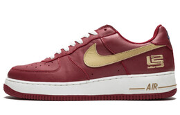 Кроссовки Nike Air Force 1 Low LeBron James Cavs 306353-671