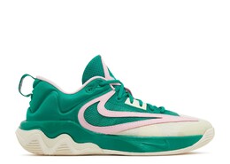 Кроссовки Nike Giannis Immortality 3 '5 The Hard Way', зеленый dz7533 300 | green