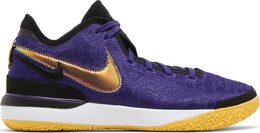 Nike Кроссовки Zoom LeBron NXXT Gen 'Lakers', фиолетовый dr8784 500 | purple