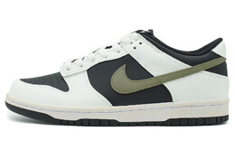 Мужские кроссовки для скейтбординга Nike Dunk, Black dd1391-100(team108-男款冰美式2.0) | black