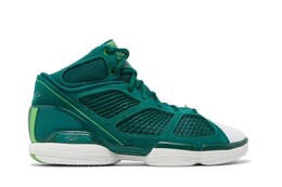 Кроссовки Adidas D Rose 1.5, зеленый gy0247 | green