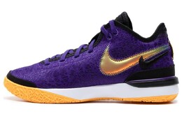 Мужские баскетбольные кроссовки Nike LeBron NXXT Gen, Судно-фиолетовый/Светлый чертополох Хизер/Университетское золото/Черный dr8788-500 | court purple/light thistle heather/university gold/black