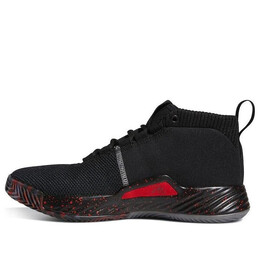 Кроссовки dame 5 'people's champ' Adidas, черный ee4054 | black