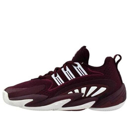 Кроссовки byw 2.0 Adidas Crazy, бордовый fv7102 | maroon/white