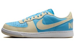 Мужские кроссовки для скейтбординга Nike Terminator, Blue beige hf4834-407 | blue beige
