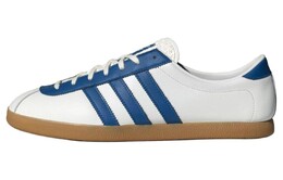 Мужские кроссовки для скейтбординга Adidas, White/Blue ig6208 | white/blue