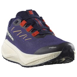 Aero Blaze 3 grvl - кроссовки для бега Salomon, мультиколор 023-2525 | astral aura / maritime blue / haute red