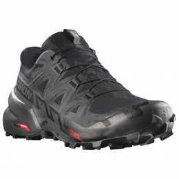 Speedcross 6 gore-tex - кроссовки для бега по пересеченной местности Salomon, мультиколор 023-1201 | black / black / phantom