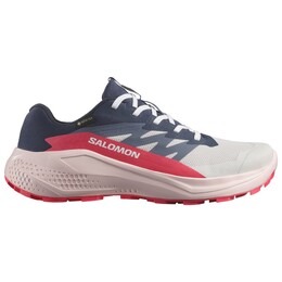 Женские кроссовки Alphaglide Gore-Tex для бега по пересеченной местности Salomon, мультиколор 122-1246 | lunar rock / blue nights / rouge red