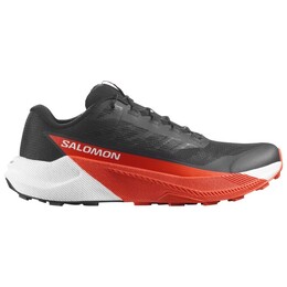 Pulsar - кроссовки для бега по пересеченной местности Salomon, мультиколор 023-2529 | black / white / cherry tomato