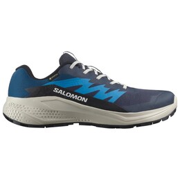 Alphaglide gore-tex - кроссовки для бега по пересеченной местности Salomon, мультиколор 022-1310 | blue nights / lunar rock / french blue