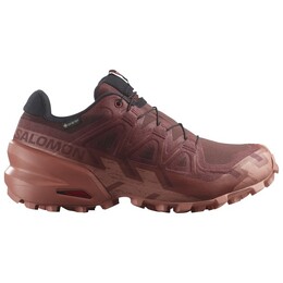 Женские кроссовки Speedcross 6 Gore-Tex для бега по пересеченной местности Salomon, мультиколор 123-0974 | rum raisin / barn red / canyon clay