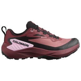 Женские кроссовки Genesis Gore-Tex для бега по пересеченной местности Salomon, мультиколор 123-1631 | rose taupe / black / orchid bouquet