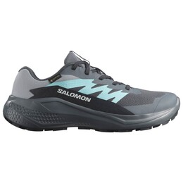 Женские кроссовки Alphaglide Gore-Tex для бега по пересеченной местности Salomon, мультиколор 122-1246 | turbulence / aruba blue / dark navy