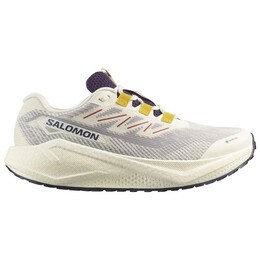 Aero Blaze 3 Grvl GTX - кроссовки для бега Salomon, мультиколор 023-2526 | vanilla ice / astral aura / lemon