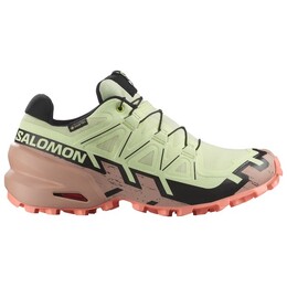 Женские кроссовки Speedcross 6 Gore-Tex для бега по пересеченной местности Salomon, мультиколор 123-0974 | lime cream / mahogany rose / black